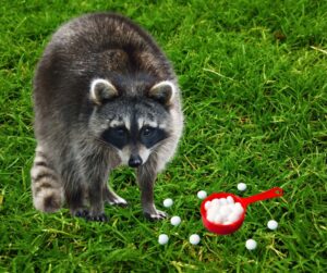 do mothballs keep animals away