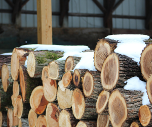 firewood stacked away from home with snow on top