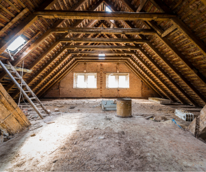 westchester wildlife attic