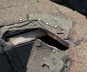 Squirrel entry point in roof in Westchester