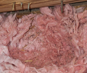 Westchester Wildlife Damaged or Disturbed Insulation